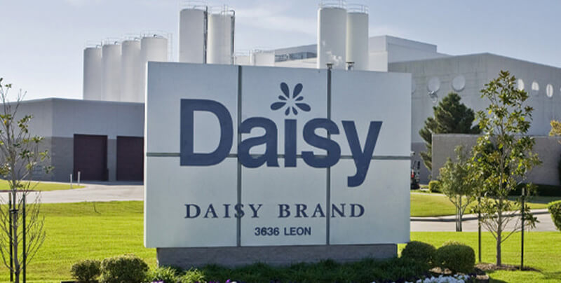 Daisy Brand Case Study