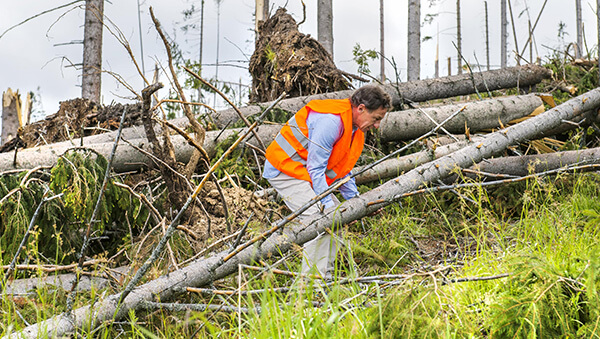 rescue worker moving trees out of the way at a park